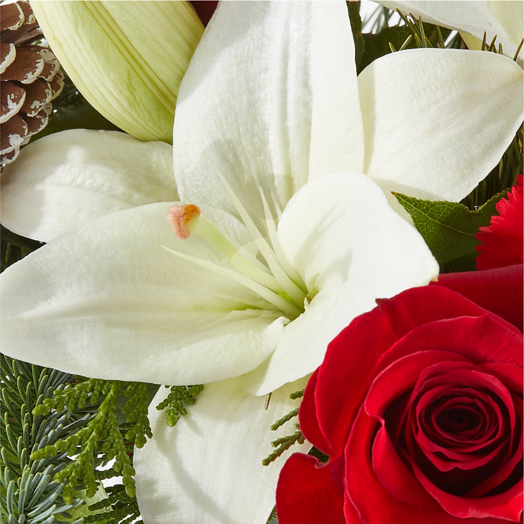 Oh So Jolly Bouquet –  Stardust Flowers, Surrey BC
