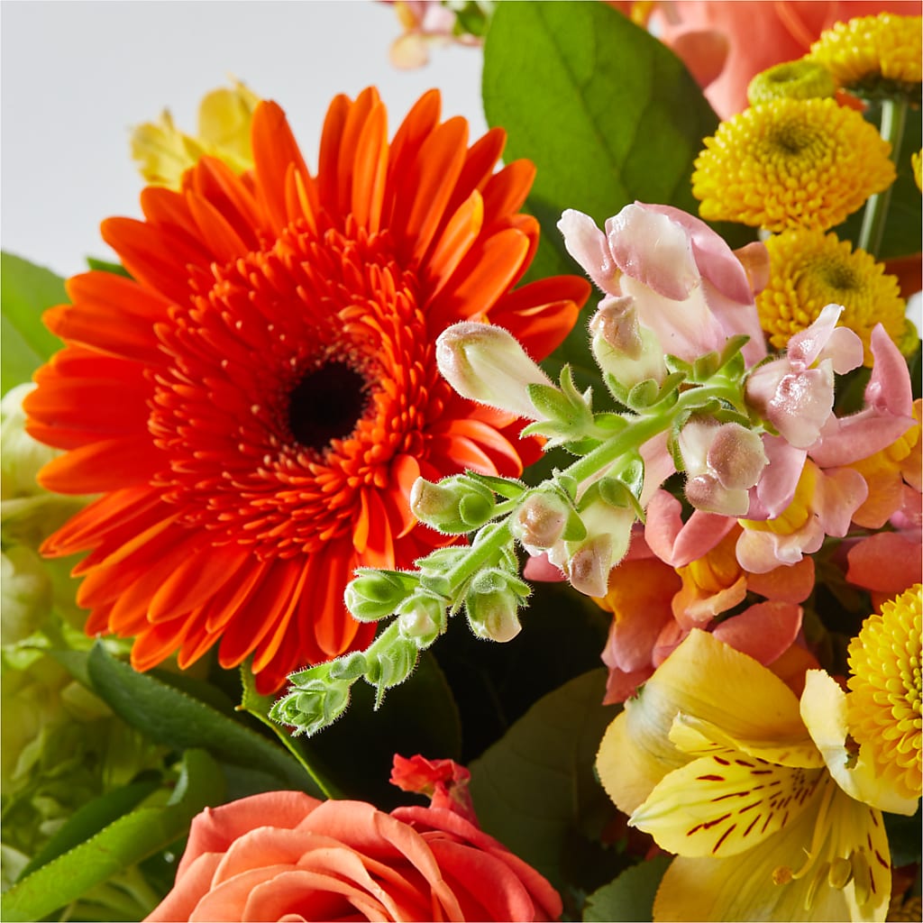 Autumn Sunshine Bouquet –  Stardust Flowers, Surrey BC