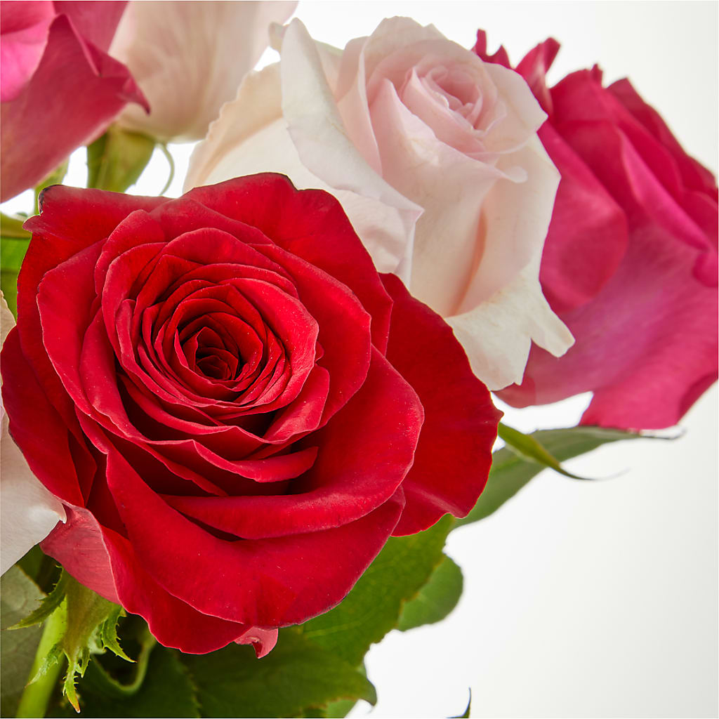 Charming Rose Bouquet –  Stardust Flowers, Surrey BC