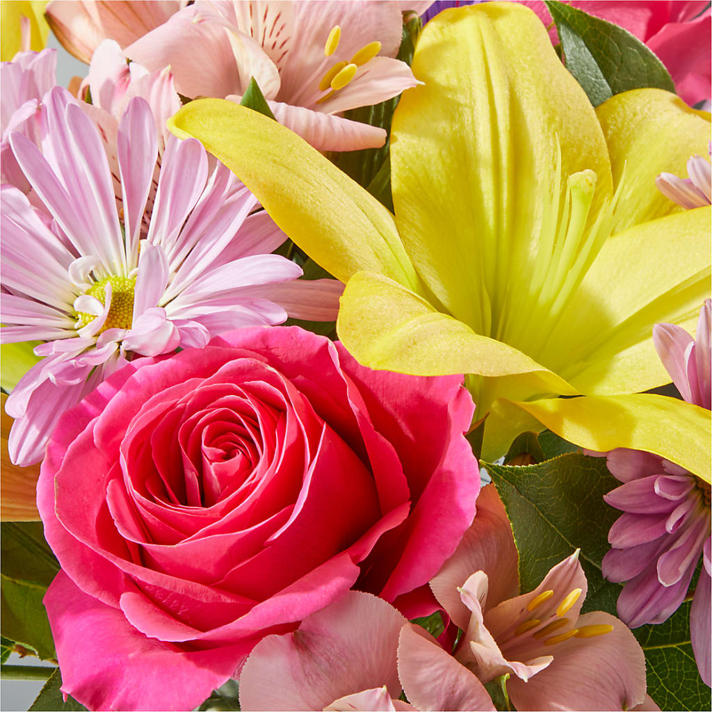 Sprinkles Bouquet –  Stardust Flowers, Surrey BC