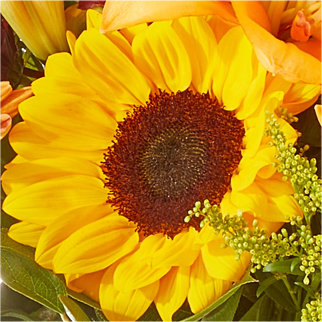 Seasons Change Bouquet –  Stardust Flowers, Surrey BC