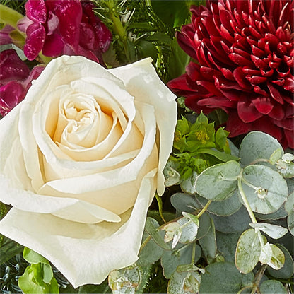 Cranberry Fizz Bouquet –  Stardust Flowers, Surrey BC