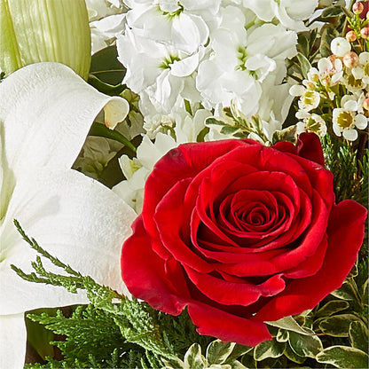 Twinkle Lights Bouquet –  Stardust Flowers, Surrey BC