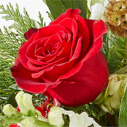 Deck the Halls Bouquet –  Stardust Flowers, Surrey BC