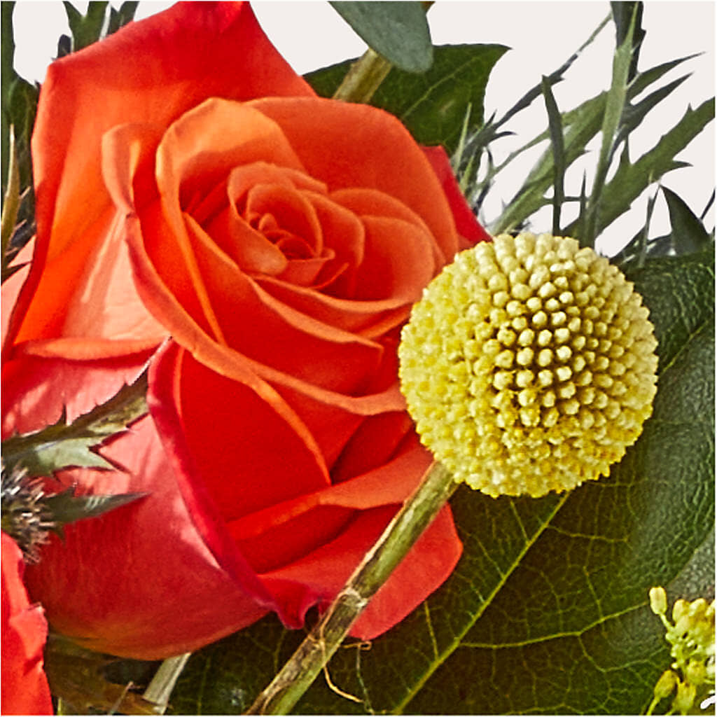 Disco Bouquet –  Stardust Flowers, Surrey BC