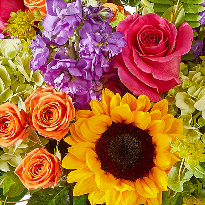 Vibrant Greetings Bouquet –  Stardust Flowers, Surrey BC