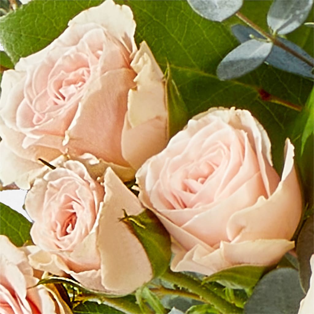 Inspired Bouquet –  Stardust Flowers, Surrey BC