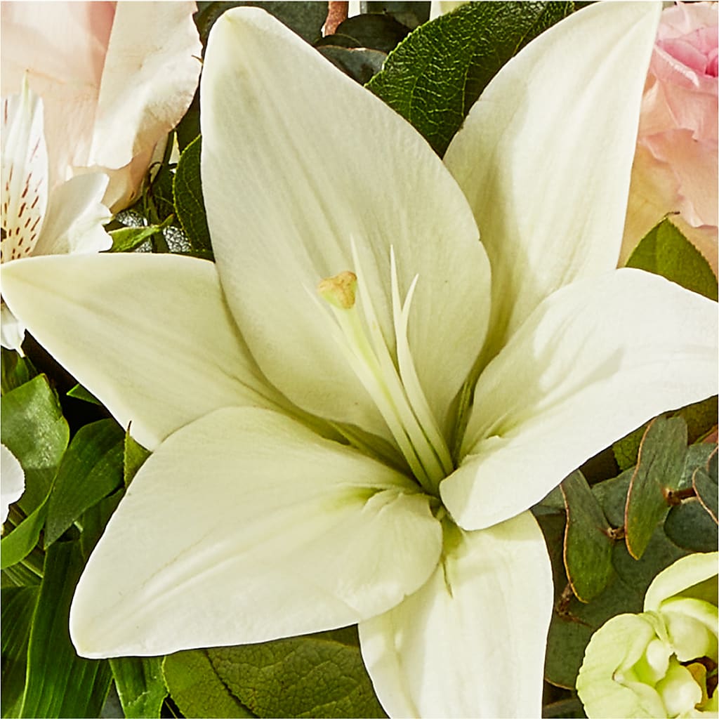 Ballet Slippers Bouquet –  Stardust Flowers, Surrey BC
