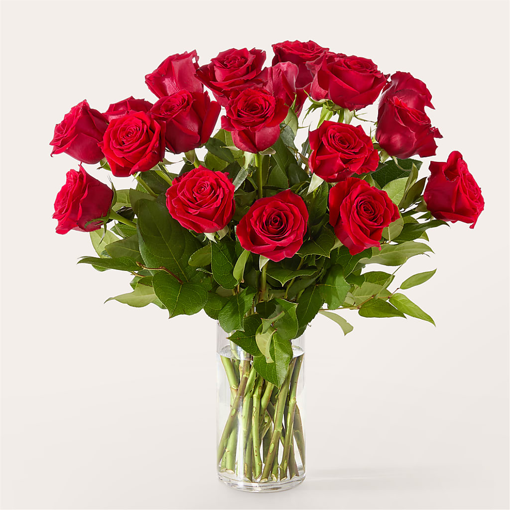 The One Red Rose Bouquet –  Stardust Flowers, Surrey BC
