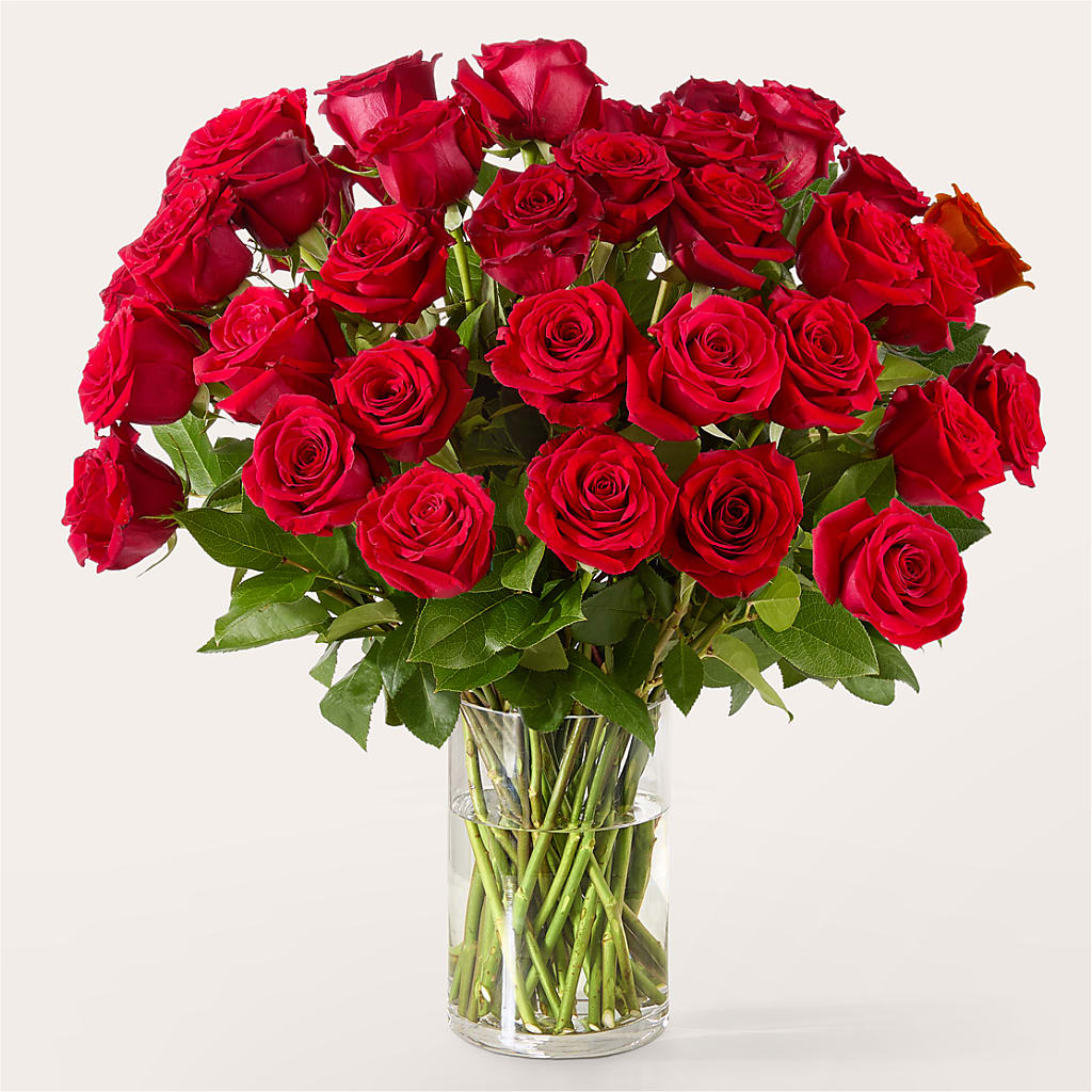 The One Red Rose Bouquet –  Stardust Flowers, Surrey BC