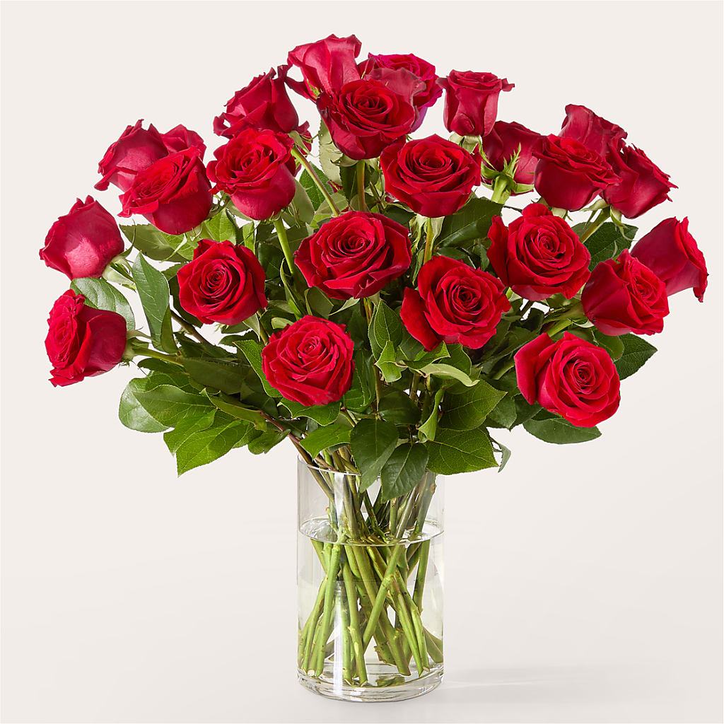 The One Red Rose Bouquet –  Stardust Flowers, Surrey BC