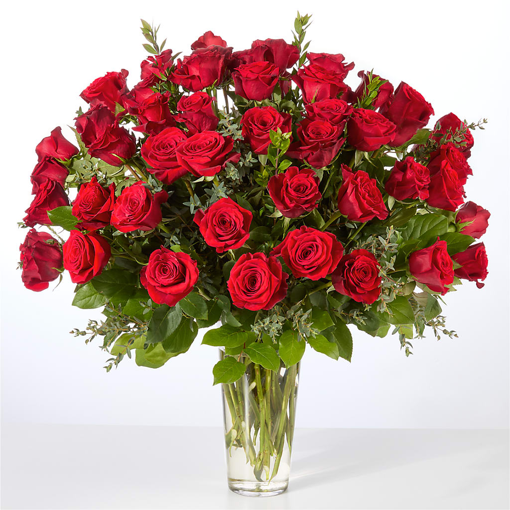 Forever Yours Fifty Stem Red Rose Bouquet –  Stardust Flowers, Surrey BC