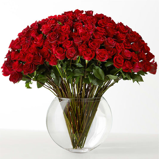 The Idealist –  Stardust Flowers, Surrey BC