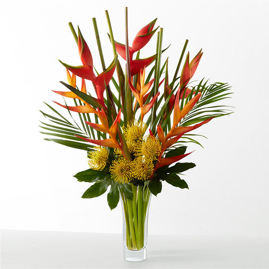 The Drama –  Stardust Flowers, Surrey BC