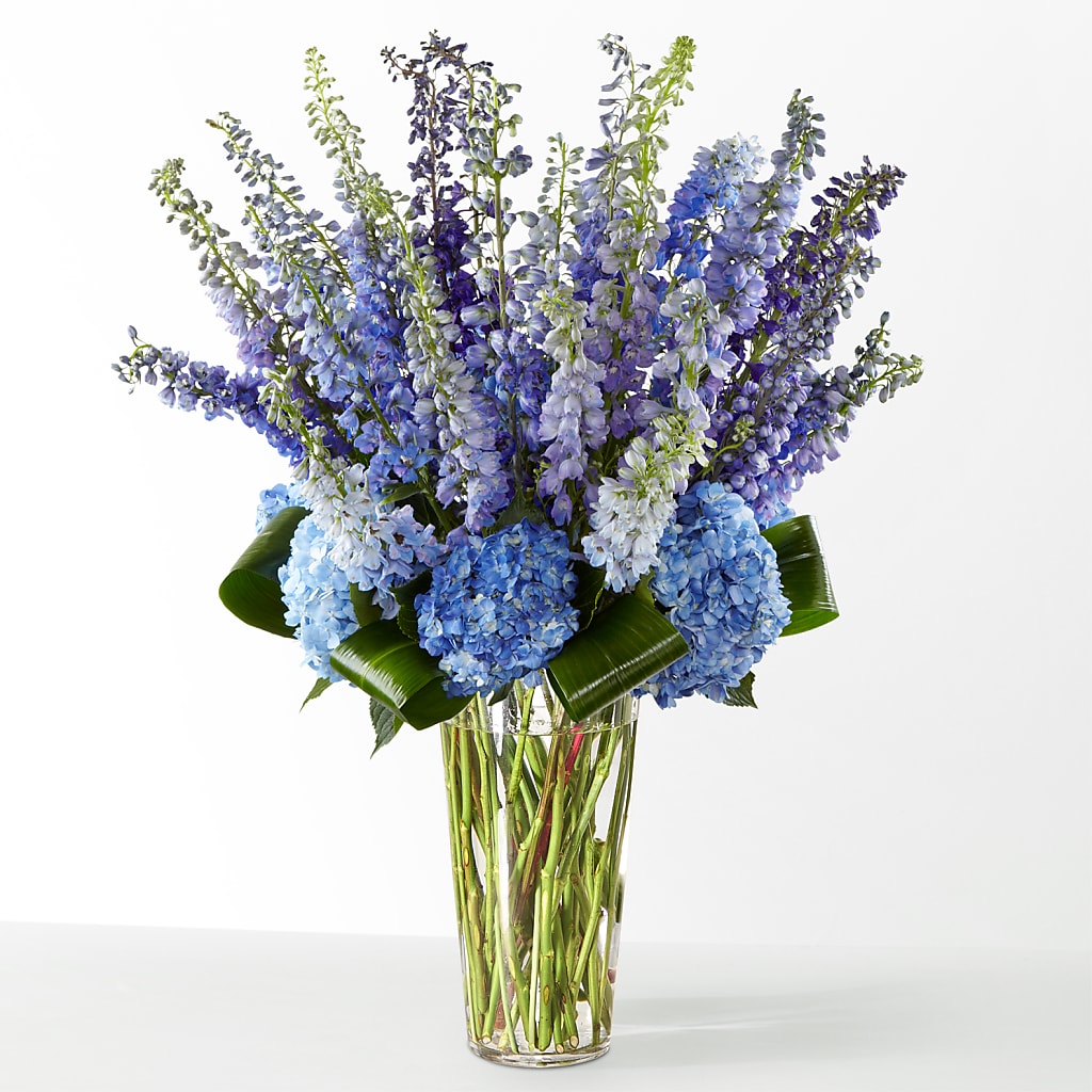 The Editorial –  Stardust Flowers, Surrey BC