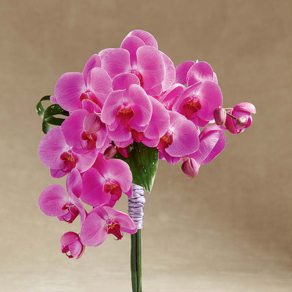 Glorious Bouquet –  Stardust Flowers, Surrey BC