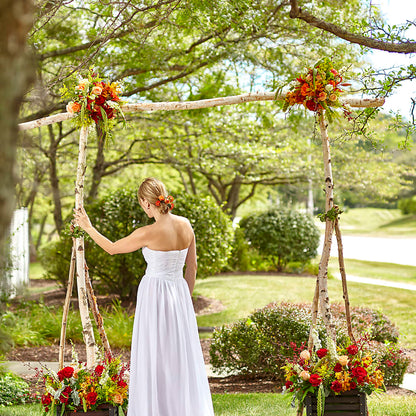 Arbor of Love Archway –  Stardust Flowers, Surrey BC
