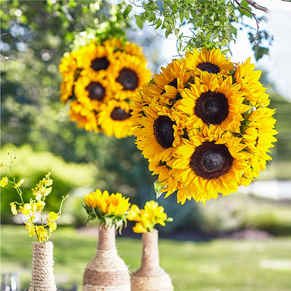 Sublime Garden Hanging Arrangement –  Stardust Flowers, Surrey BC