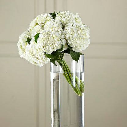 White Hydrangea Hand-Tied Bouquet –  Stardust Flowers, Surrey BC