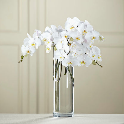 White Phalaenopsis Bouquet –  Stardust Flowers, Surrey BC
