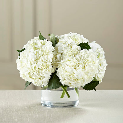 White Hydrangea Bouquet –  Stardust Flowers, Surrey BC